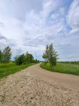 Участок в Ярославская область, Ярославский муниципальный округ, д. ...