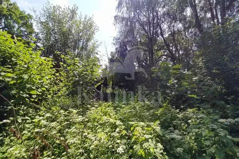 Участок в Одинцовский городской округ, посёлок Николина Гора (15 м)