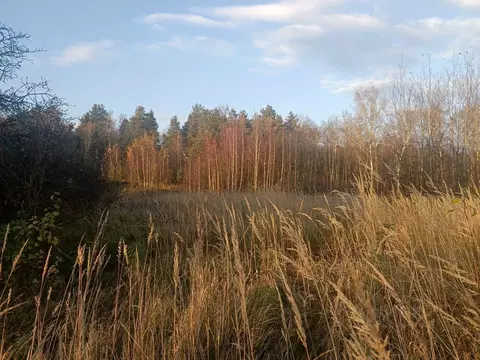 Участок в Московская область, Воскресенск городской округ, Фосфоритный ...