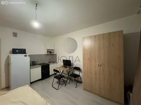Квартира-студия: Санкт-Петербург, проспект Будённого, 21к4 (24.3 м)