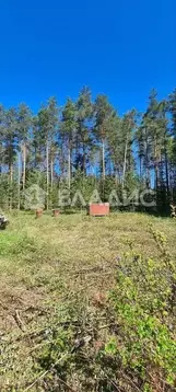 Участок в Ленинградская область, Всеволожский район, Куйвозовское ...