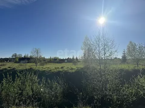 Участок в Вологодская область, д. Калинкино (Майское сельское ...