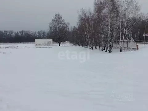 Участок в Белгородская область, Новооскольский муниципальный округ, ...