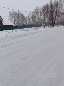 Участок в Омская область, Омский район муниципальный округ, с. ...