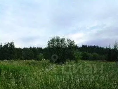 Участок в Свердловская область, Кушва пос. Степановка,  (19.6 сот.)