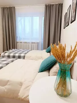 1-к кв. Пермский край, Чайковский ул. Мира, 32 (30.0 м)