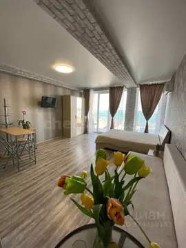 1-к кв. Севастополь ул. Пляж Омега, 4-9 (48.0 м)