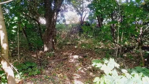 Участок в Брянская область, Брянск ул. Вали Сафроновой (17.0 сот.)