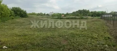 Участок в Новосибирская область, Колывань рп ул. Блюхера (8.0 сот.)