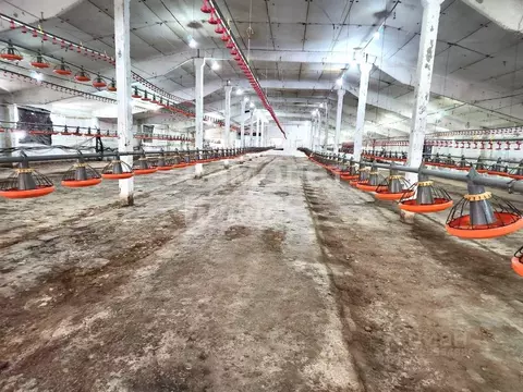 Производственное помещение в Краснодарский край, Брюховецкий район, ...