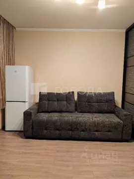 Студия Новосибирская область, Новосибирск ул. Бориса Богаткова, 24 ...