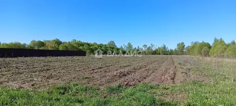Участок в Калужская область, Дзержинский район, Совхоз Чкаловский ...