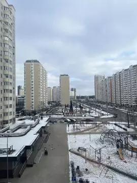 3-к кв. Москва, Москва, Московский г. ул. Бианки, 5 (70.0 м)