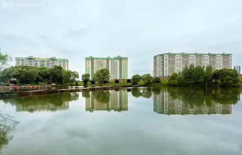 Квартира-студия: Домодедово, микрорайон Востряково, Донская улица, 1 ...