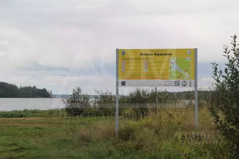 Участок в Ленинградская область, Приозерский район, Красноозерное ...