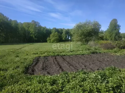 Участок в Новосибирская область, Коченевский район, Лесная Поляна ст. ...