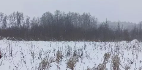 Участок в Московская область, Дмитров  (15.12 сот.)