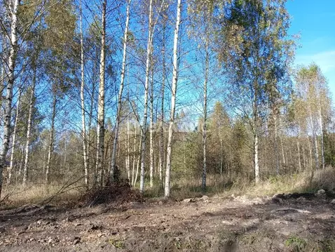 Участок в Ленинградская область, Всеволожский район, Свердловское ...