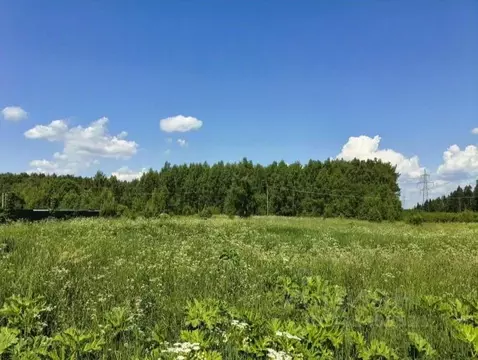 Участок в Московская область, Дмитровский муниципальный округ, пос. ...