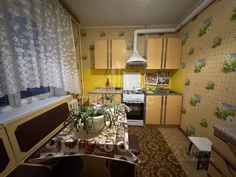 1-к кв. Брянская область, Брянск Белорусская ул., 52 (37.1 м)