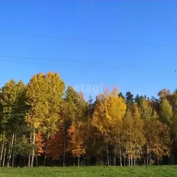 Участок в Калужская область, Износки с/пос, д. Мусино  (1100.0 сот.)