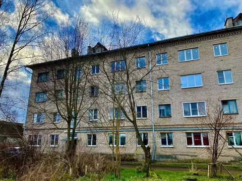 2-к кв. Псковская область, Порховский муниципальный округ, д. Логовино ...