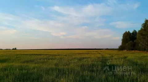 Участок в Вологодская область, Вологодский муниципальный округ, д. ...