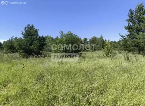 Участок в Рамонский район, Новоживотинновское сельское поселение, ТСН ...