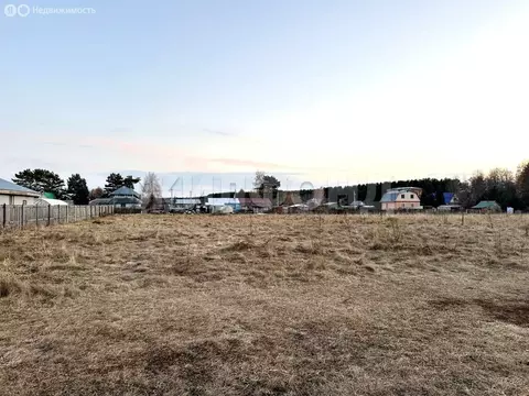 Участок в Береговое, улица Мира (14.6 м)