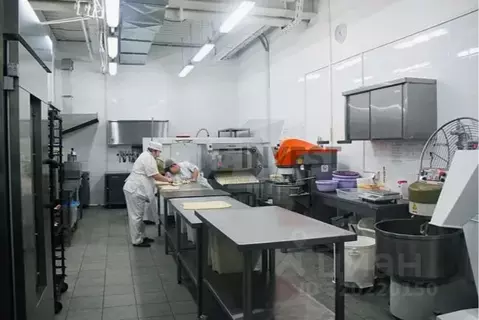 Производственное помещение в Челябинская область, Челябинск Южная ул., ...