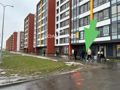 Помещение свободного назначения в Санкт-Петербург просп. Буденного, ...