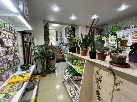 Помещение свободного назначения в Краснодарский край, Анапа ул. ...