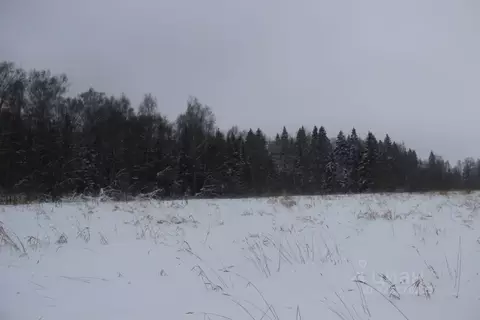 Участок в Московская область, Шаховская муниципальный округ, с. Белая ...