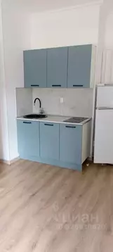 Студия Тверская область, Тверь Новочеркасская ул., 48 (19.4 м)