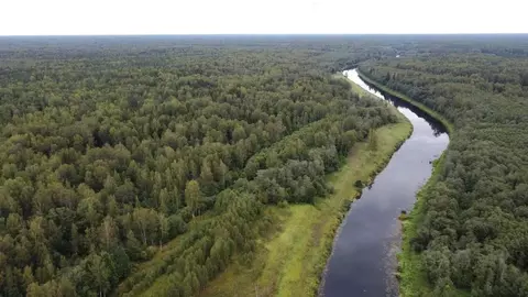 Участок в Псковская область, Порховский муниципальный округ, д. ...