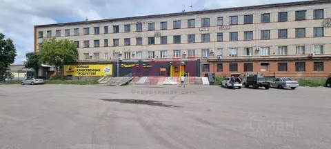 Торговая площадь в Пензенская область, Каменка ул. Чернышевского (120 ...