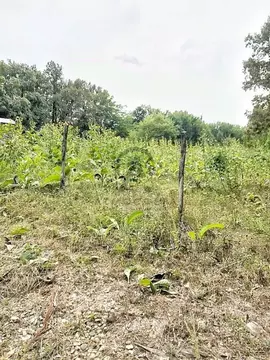 Участок в Краснодарский край, Апшеронский район, Новополянское с/пос, ...