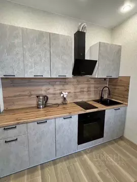 Студия Новосибирская область, Новосибирск ул. Никитина, 67 (29.0 м)