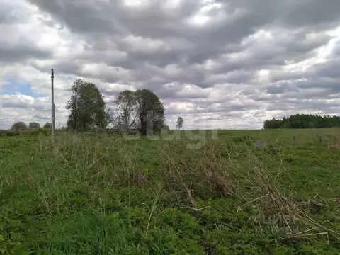 Участок в Вологодская область, Лиана садоводческое товарищество  (6.0 ...