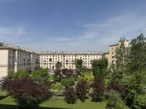 Студия Санкт-Петербург ул. Швецова, 8 (25.2 м)