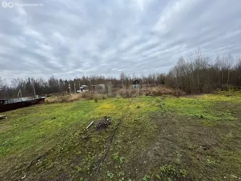 Участок в Кострома, Буйская улица (6 м)