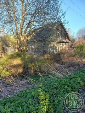 Участок в Ленинградская область, Лужский район, пос. Оредеж ул. Карла ...