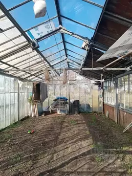 Участок в Новосибирская область, с. Новолуговое ул. Чапаева, 73 (27.8 ...