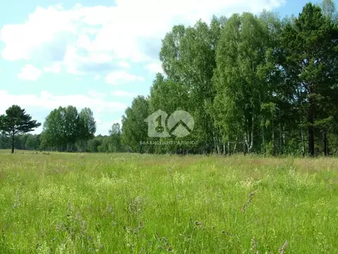 Участок в Новосибирская область, Новосибирский район, Станционный ...