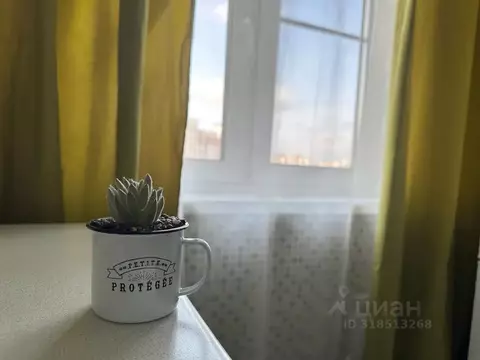 1-к кв. Ярославская область, Ярославль ул. Серго Орджоникидзе, 29к2 ...