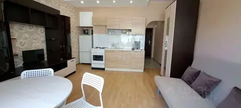 Студия Ленинградская область, Выборг Ленинградское ш., 11 (24.0 м)