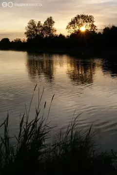 Участок в Лопухинское сельское поселение, коттеджный посёлок Остров ...