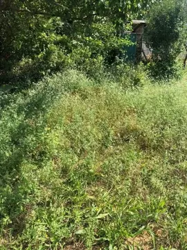 Участок в Крым, Сакский район, Новофедоровка пгт пер. Севастопольский ...