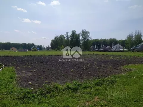 Участок в Новосибирская область, Мошково рп ул. Болдырева, 28 (9.17 ...