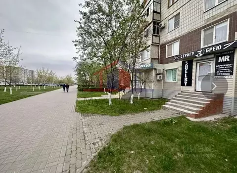 Помещение свободного назначения в Белгородская область, Старый Оскол ...